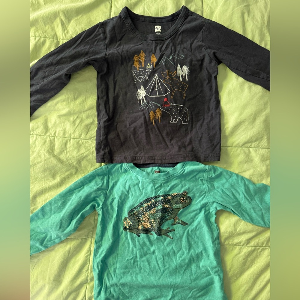 Tea Collection Black Long Sleeve Graphic Tee & Teal Long Sleeve Frog Tee - Set.